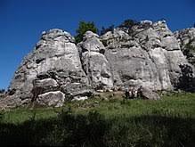 Rezerwat przyrody Góra Zborów